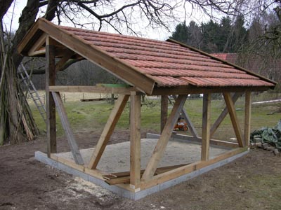 Schuppen_P_1