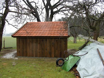Schuppen_P_3