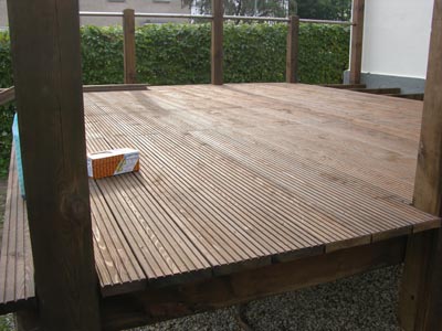 DSCN3077