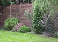 DSCN3528-t